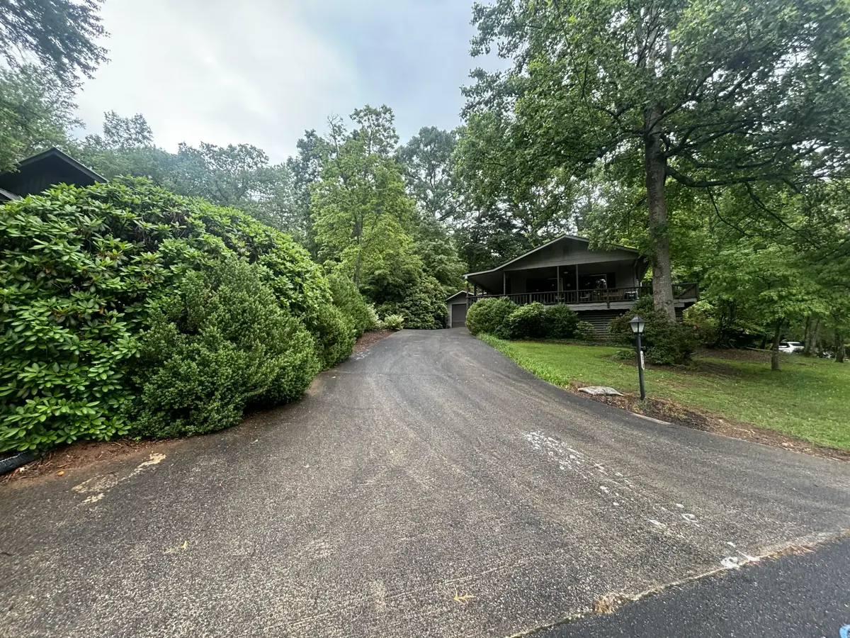 Driveway with green algae and moss growth before treatment